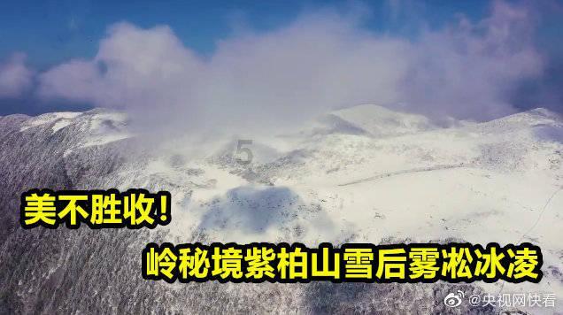 画线进球3