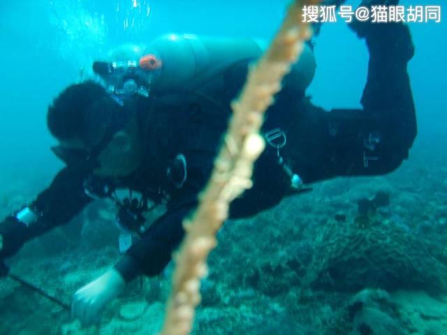红色盒子小人