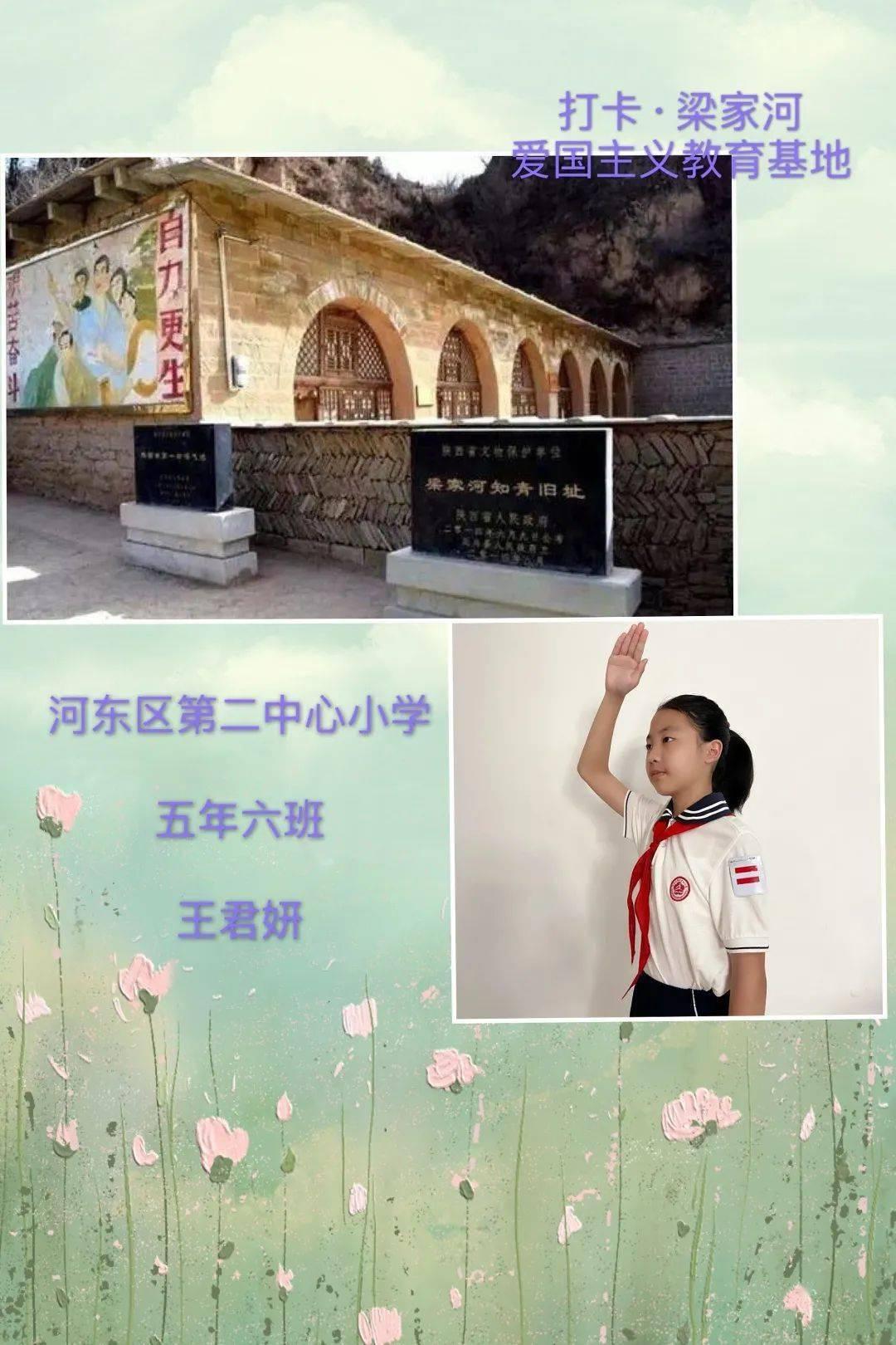 洲明科技AI发布会,探索LED行业增长潜力与数字转型